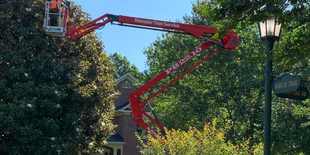 Monster Tree Service Image