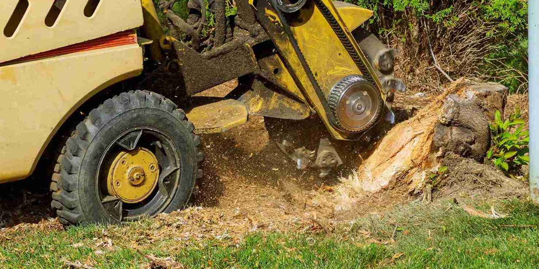 Close-up photograph of an orange stump grinder machine actively grinding down a tree stump in a yard, sending wood chips flying. The background shows a grassy lawn covered with fallen red and brown autumn leaves.
