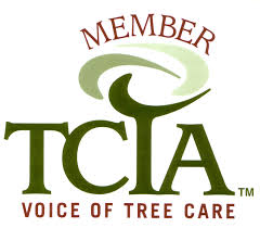 TCIA Member