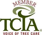 TCIA Member