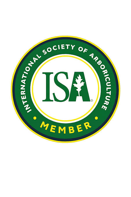 ISA Member 2026