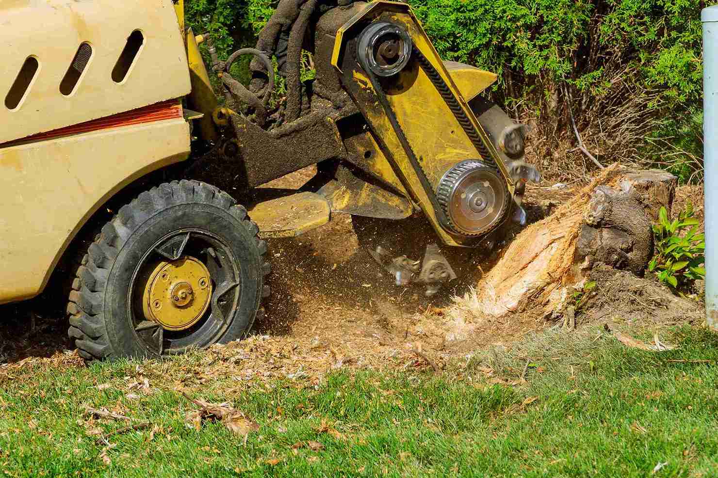 Stump Grinding in The Woodlands, TX