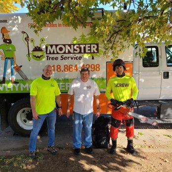 Comprehensive Tree Services for Tulsa's Unique Landscape