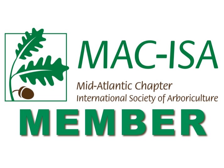 MAC-ISA Member